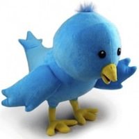 Sobre Twitter, Ecuador, Puerto Rico y otras crisis.