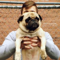 Lentes Moment - iPhone 5s