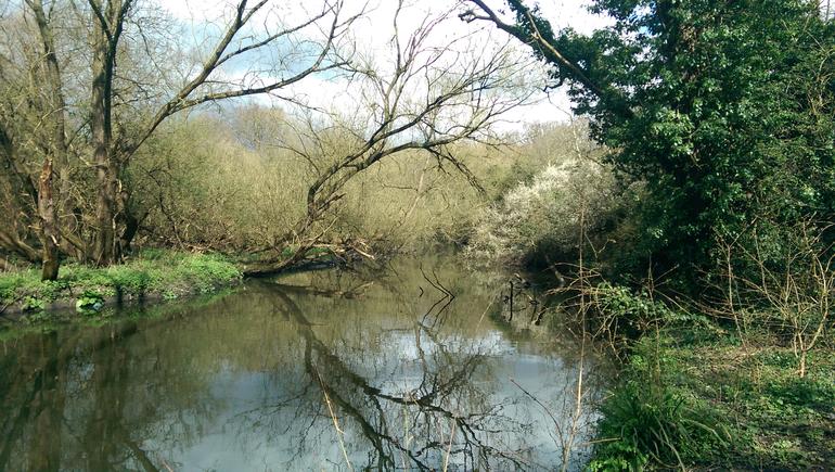 HTC One (M8) — Prueba fotos 1