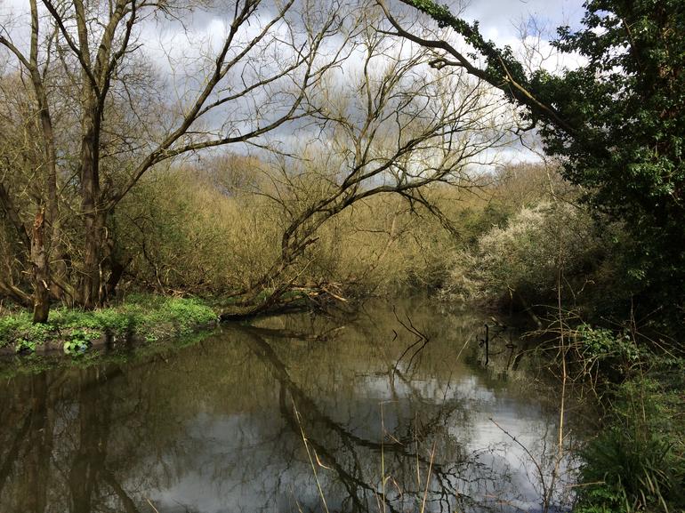 iPhone 5s — Prueba fotos 1