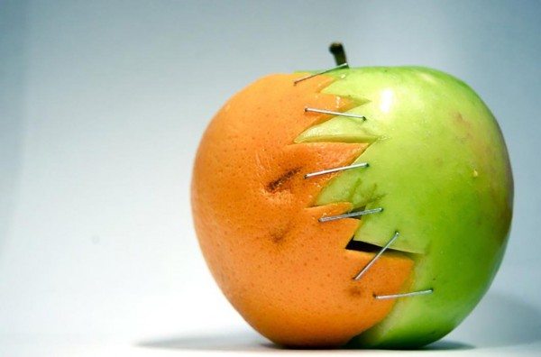 Transgénicos: Paranoia y Falta de Análisis Crítico