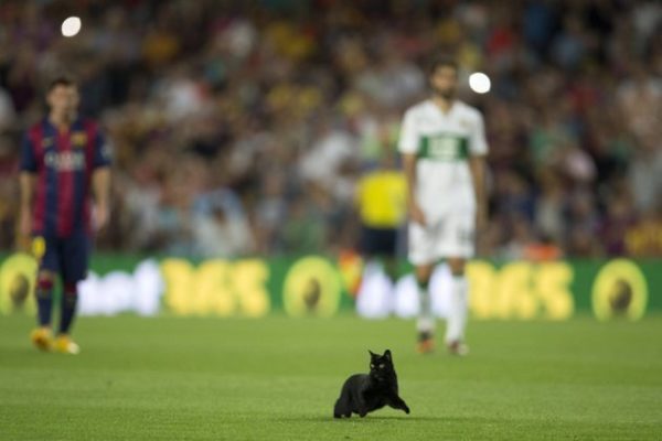 Un gato negro corre por el campo lo que obligó a interrumpir el partido entre el Barcelona y el Elche. Foto: EFE/Alejandro GarcÌa