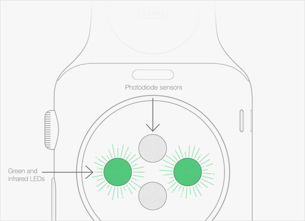 Apple Watch sensores ritmo cardíaco