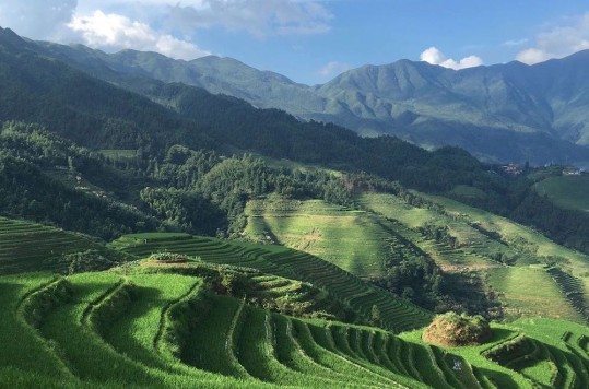 iPhone 6s y iPhone 6s Plus Cámara