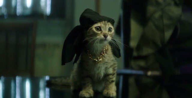 Miren esta coshita tan linda, MIRENLA!