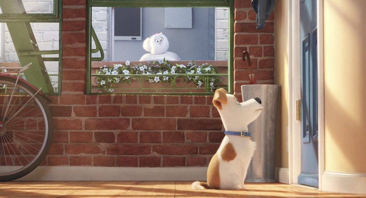 the-secret-life-of-pets-movie-image-2