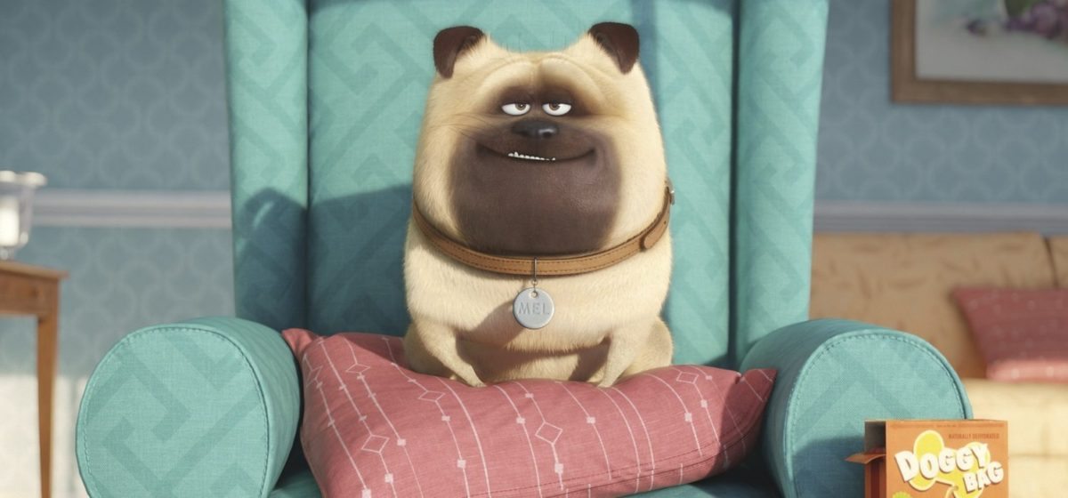 Tercer tráiler de The Secret Life of Pets