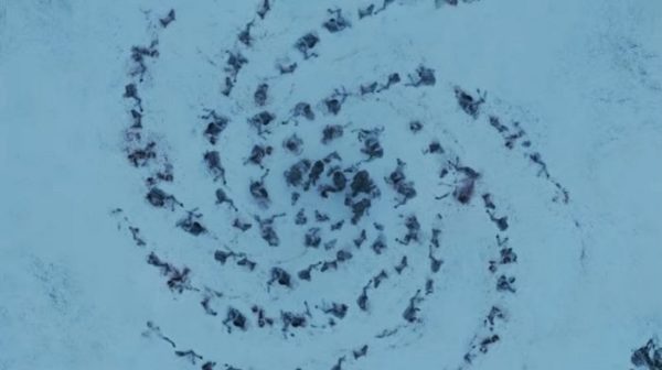 Resumen Game of Thrones The Door - Temporada 6 epidosio 5