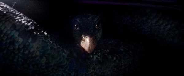 fantastic-beasts-occamy-600x249