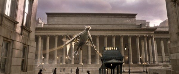 fantastic-beasts-thunderbird-600x248