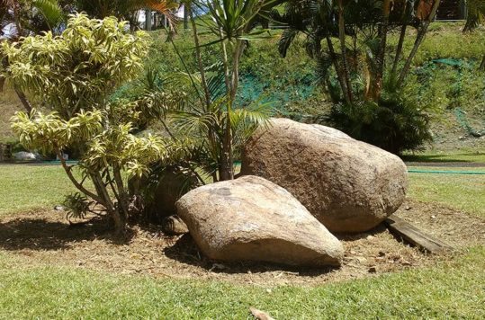 Fotos con Alcatel Onetouch Go Play