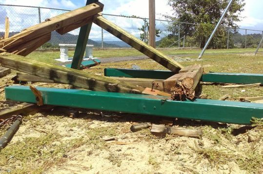 Fotos con Alcatel Onetouch Go Play