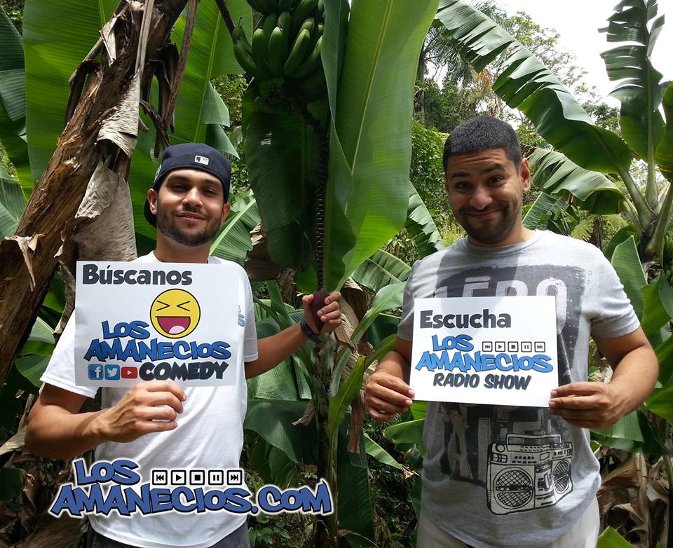 los-amanecios